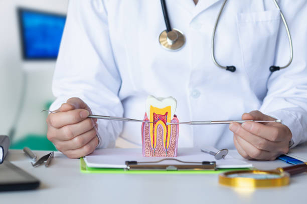 Best Emergency Denture Repair in Cecil Bishop, PA